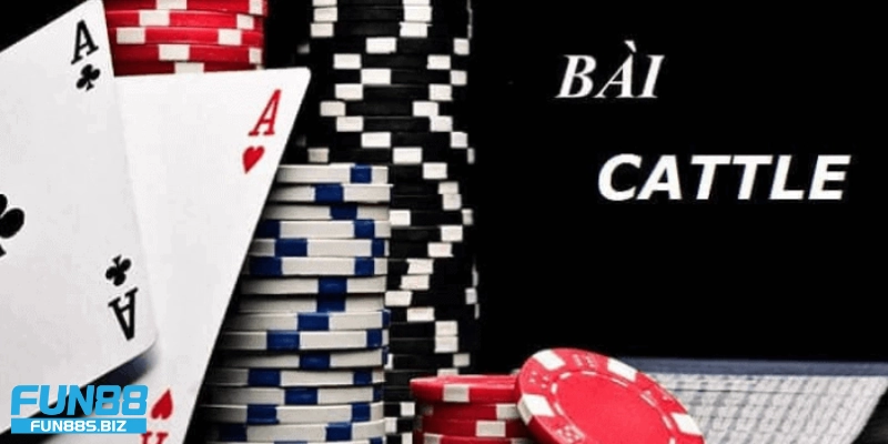 Bài cát tê trên di động – Trải nghiệm mọi lúc mọi nơi